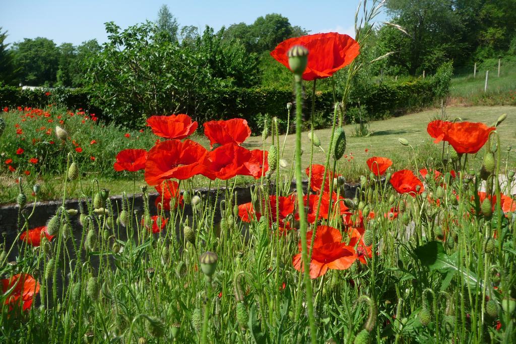 Maison D'Hotes Les Coquelicots Живерни Экстерьер фото