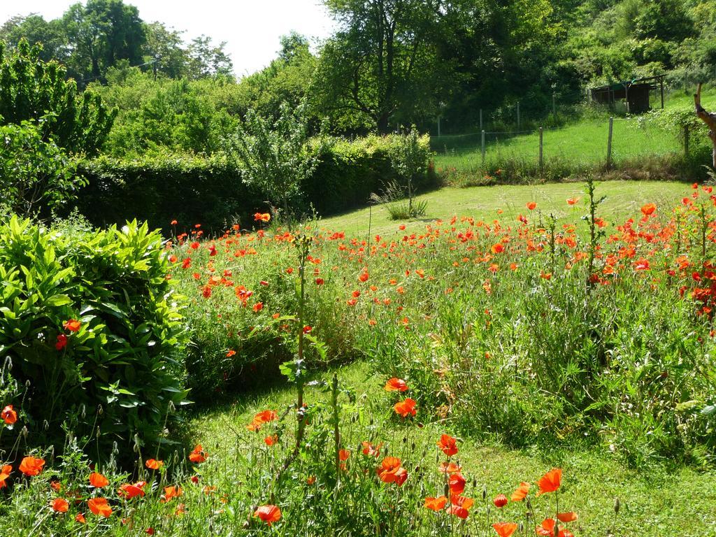 Maison D'Hotes Les Coquelicots Живерни Экстерьер фото